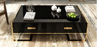 Wooden Rectangular Shiny Coffee Table / Lixra