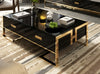 Wooden Rectangular Shiny Coffee Table / Lixra