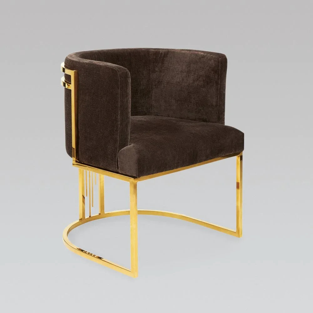 Modern Velvet Fabric Accent Chairs Set / Lixra