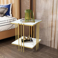 Set of 2 Modern Delectable Golden Finish Square Side Table / Lixra
