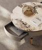 Modern Exquisite Light Luxurious Coffee Table / Lixra