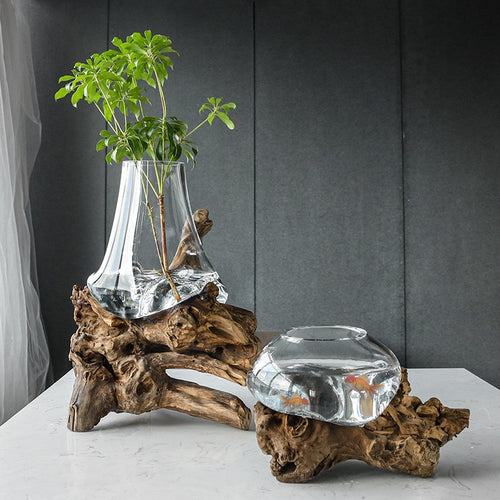 Exquisite Hydroponic Wooden Bonsai Vase / Lixra