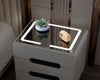 Gleamy Finish Multi-functional Modern Storage Side Table - lixra