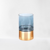 Modern Design Elegant Look Hydroponic Flower Vase / Lixra