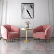 Luxury Modern Accent Chair for Living Room / Lixra