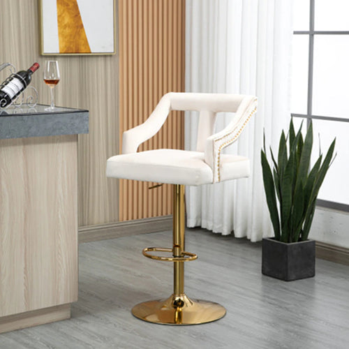 Nail-Head Trim Retro Styled Polyester High Raised Chairs / Lixra