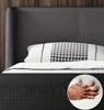 Luxurious Elementary Design Comfy Leather Bed / Lixra