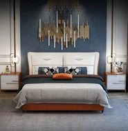 Moderate Design Exclusive Leather Bed / Lixra