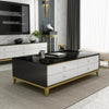  Modern Aesthetic Designed Light Luxury Wooden Coffee Table and TV Stand - Lixra