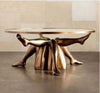 Excellent Fine Crafted Leg Designed Circular Glass Table Top Coffee Table - Lixra 