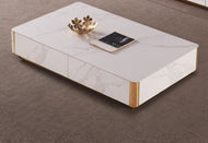 Marble Rock Plate Wooden Coffee Table / Lixra