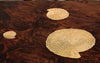 Vibrant Designed Polished Wooden Dining Table Set / Lixra
