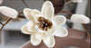 High Quality Decorative Ceramic Flower Vase - Lixra