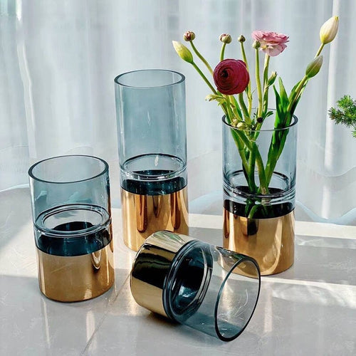 Modern Innovative Transparent Hydroponic Flower Vase / Lixra