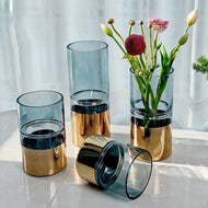 Transparent Hydroponic Innovative Flower Vase / Lixra