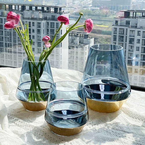 Stylish Transparent Glass Vase For Home Decoration / Lixra