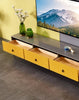 Classified Look Glossy Finish Wooden TV Stand - Lixra