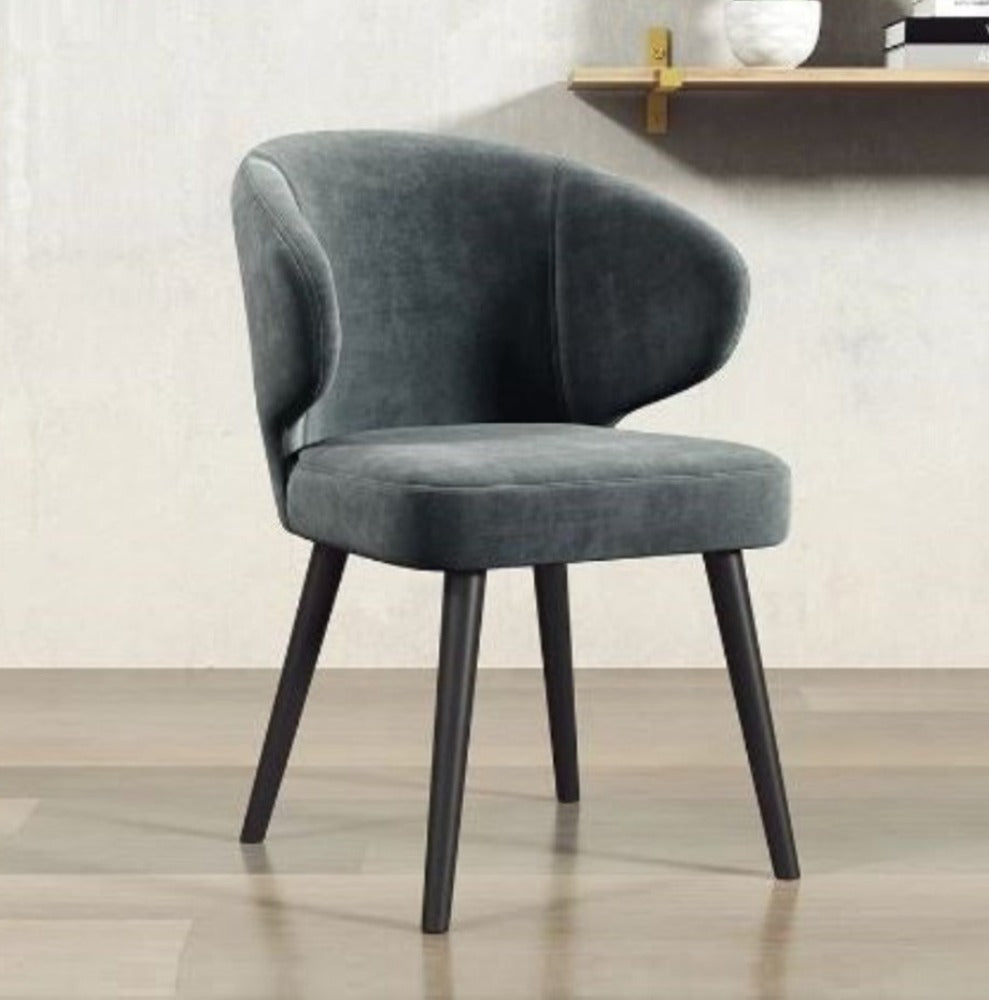 Multipurpose Luxurious Cozy Comfort Fabric Dining Chairs - Lixra