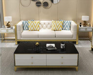 Glossy Finish Wooden Modern Coffee Table / Lixra