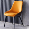 Modern Luxury Leather Finish Dining Chair - Lixra